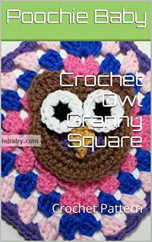 Crochet Owl Granny Square: Crochet Pattern