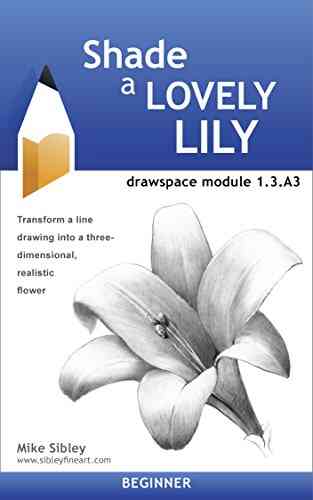 Shade A Lovely Lily: Drawspace Module 1 3 A3