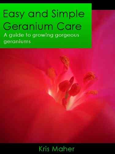 Easy And Simple Geranium Care A Guide To Growing Gorgeous Geraniums