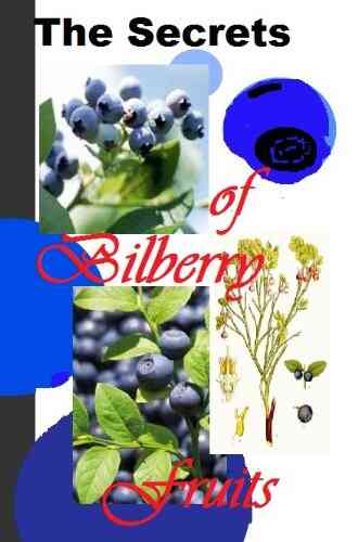 The Secrets Of Bilberry Fruits: Why Should You Have This Tasty Treats (Planet Herbs 8)