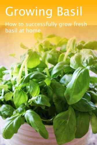 Growing Basil (Growing Herbs 1)