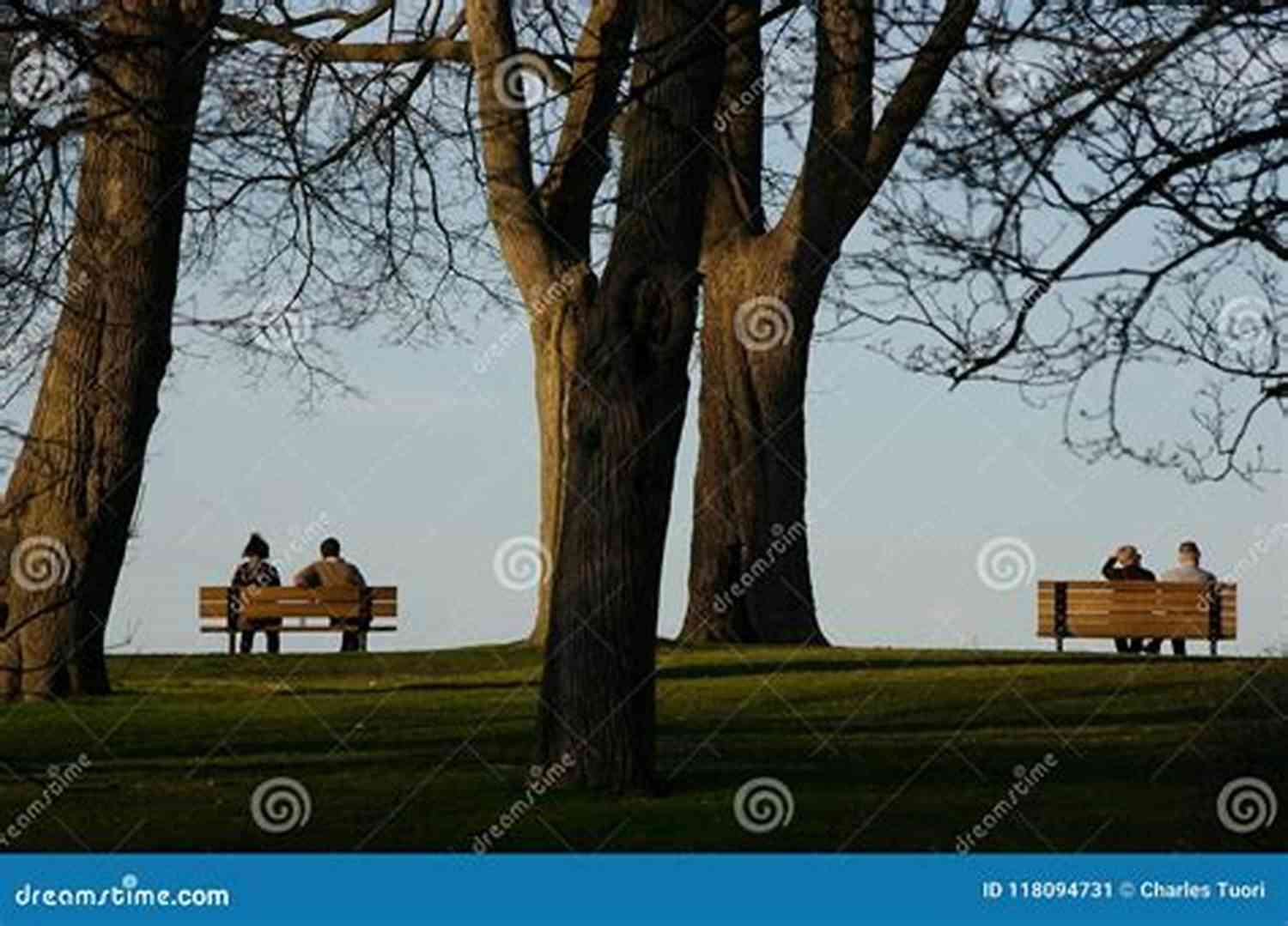 A Couple Sitting On A Park Bench, Gazing At The Sunset Returning To Love: A Collection Of Poetry