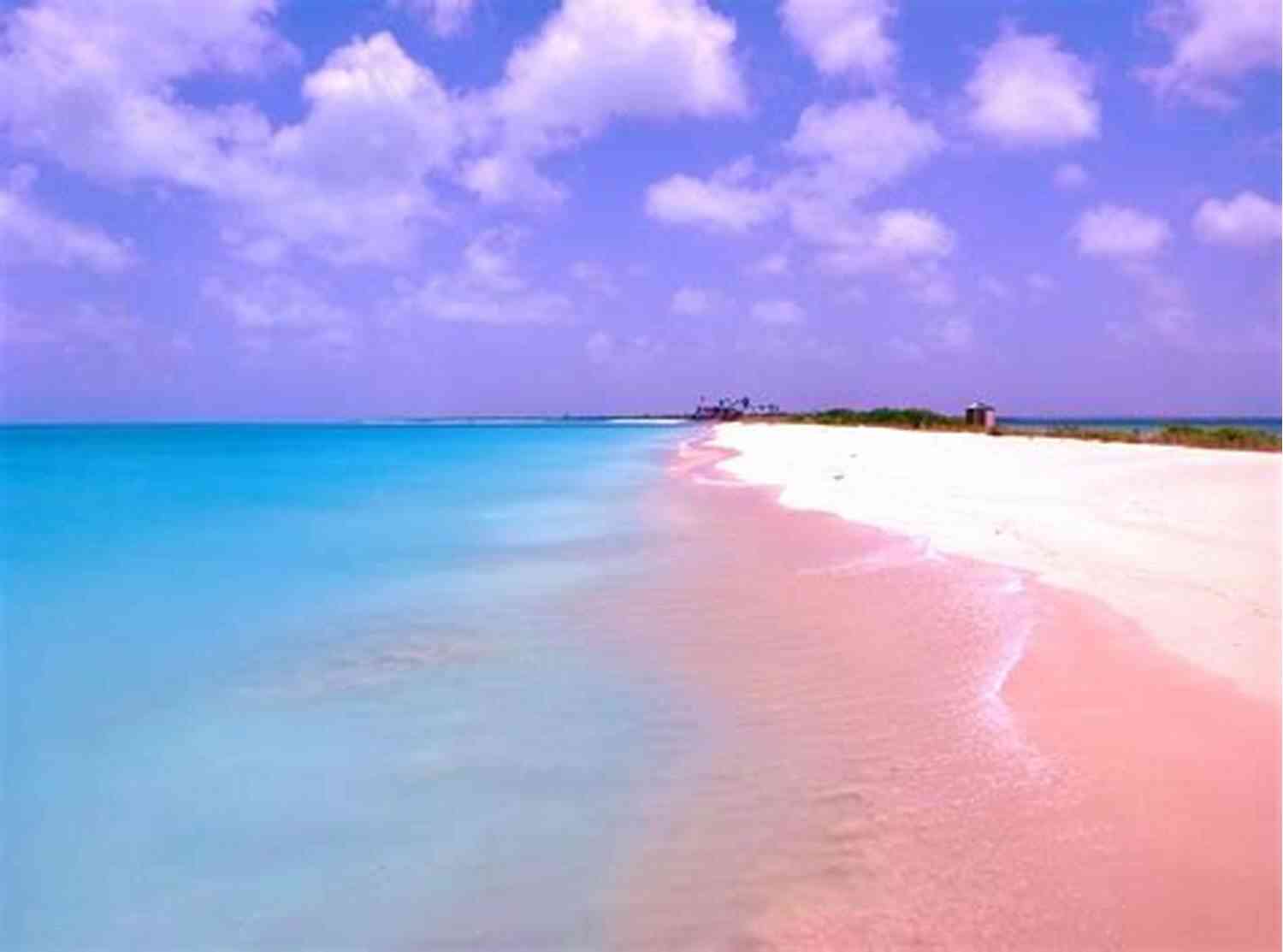 A Serene Beach With Pink Sands And Crystal Clear Waters From The Pink Sands: A Poetry Chapbook