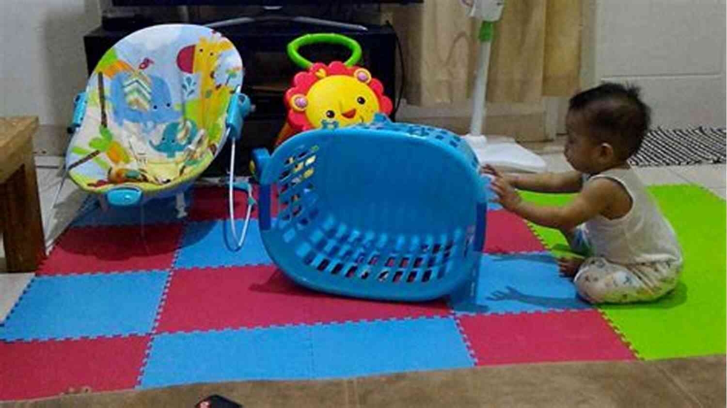 Adorable Jade Playing With Laundry In The Basket Jade Talks: Puppy Shenanigans In The Laundry Basket