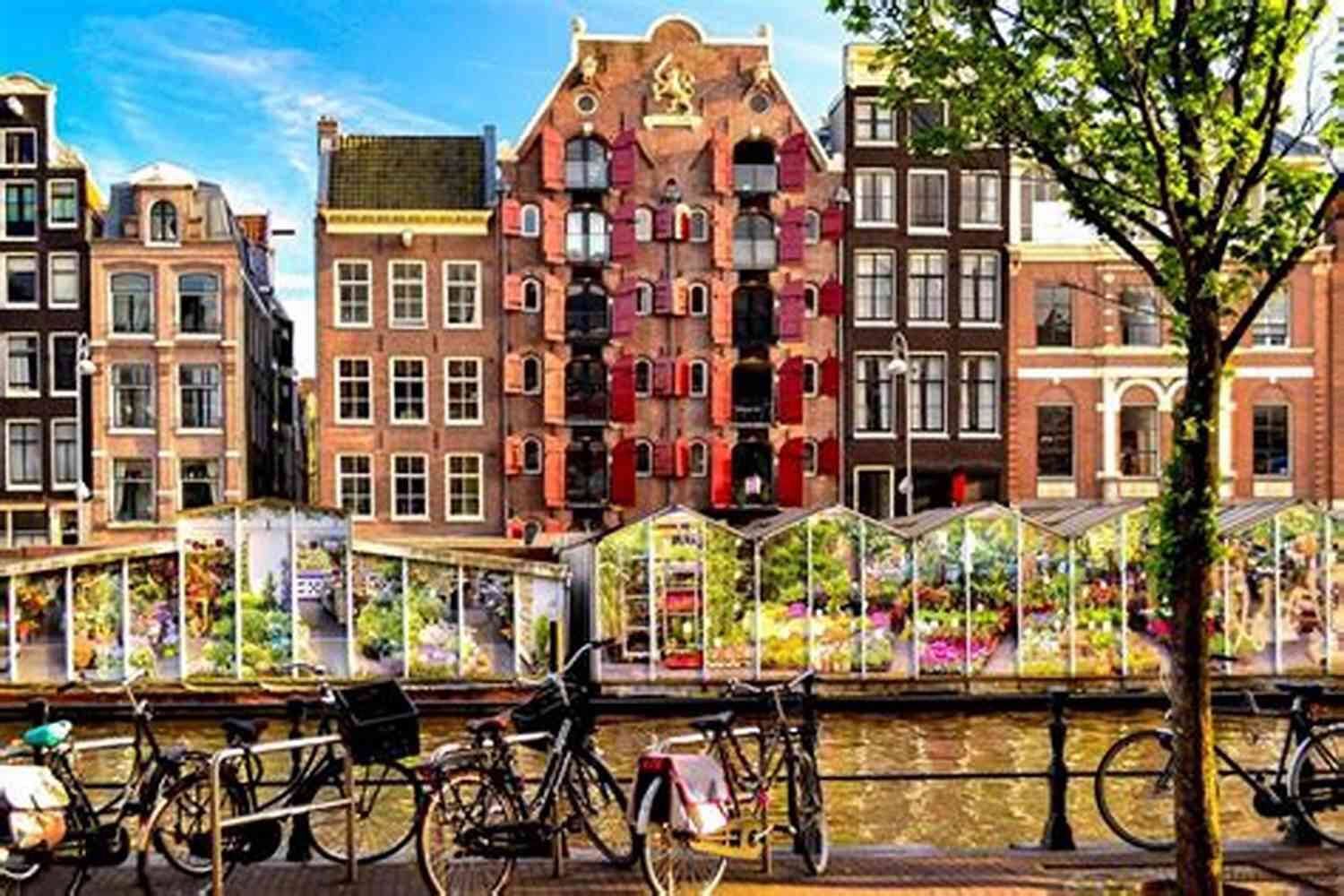 Bloemenmarkt Fun Things To Do In Amsterdam