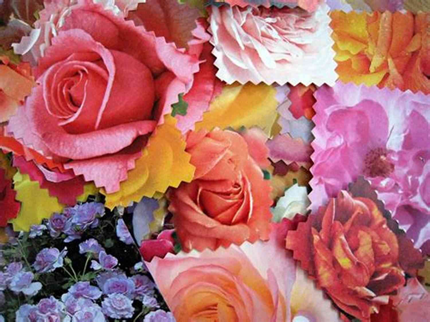 Colorful Flower Collage Made By Kids Adorable Flower Designs For Kids: Flower Designs For Kids