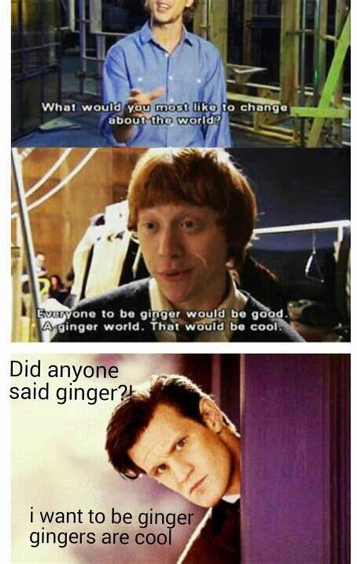 Doctor Who Am Not Ginger I Am NOT A GiNger : You Are Perfect Just The Way You Are