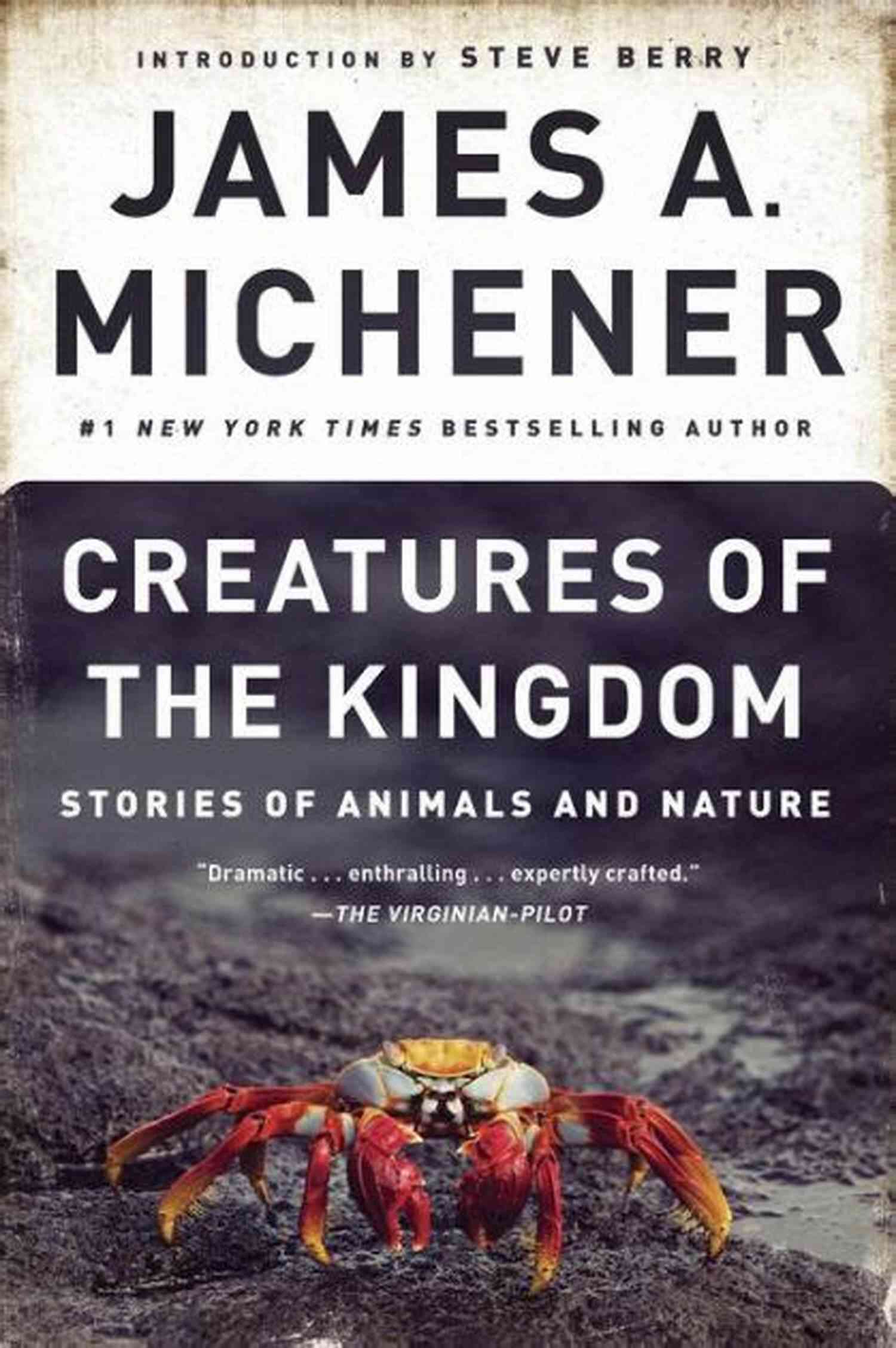 Dolphin Communication Secrets Creatures Of The Kingdom: Stories Of Animals And Nature
