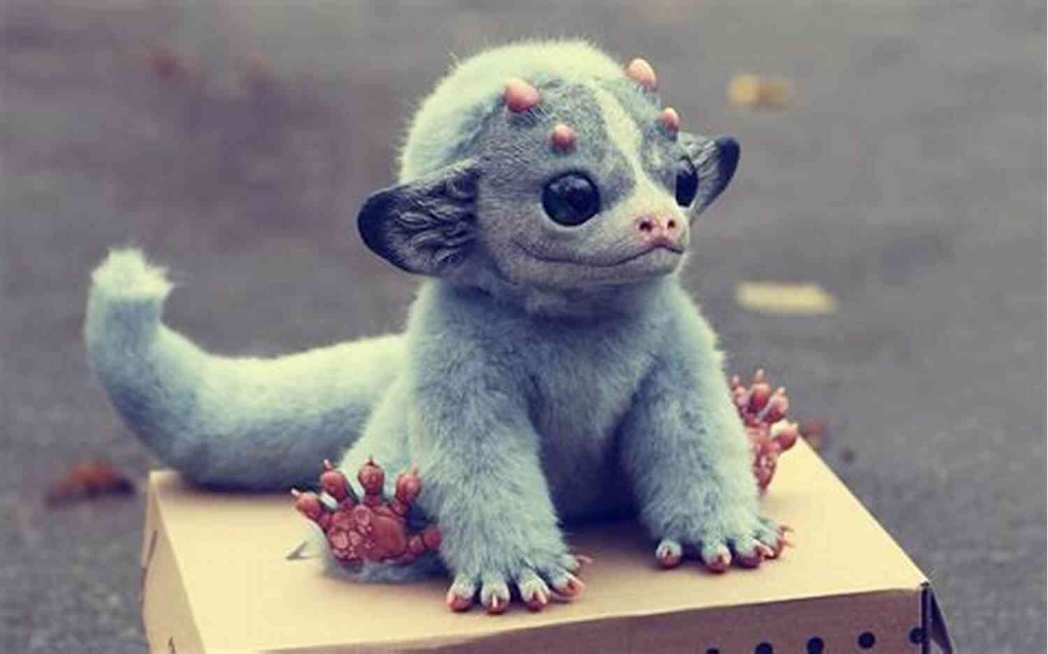 Endearing Oddities: Bizarre Creatures Creatures Of The Kingdom: Stories Of Animals And Nature