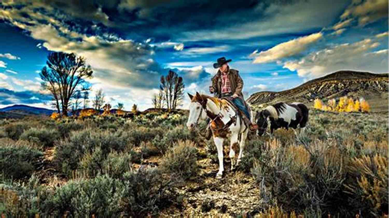 Explore The Thrilling Cowboy Lifestyle At The Picturesque Cowboy Circle Ranch Hitching The Cowboy (Circle B Ranch 1)