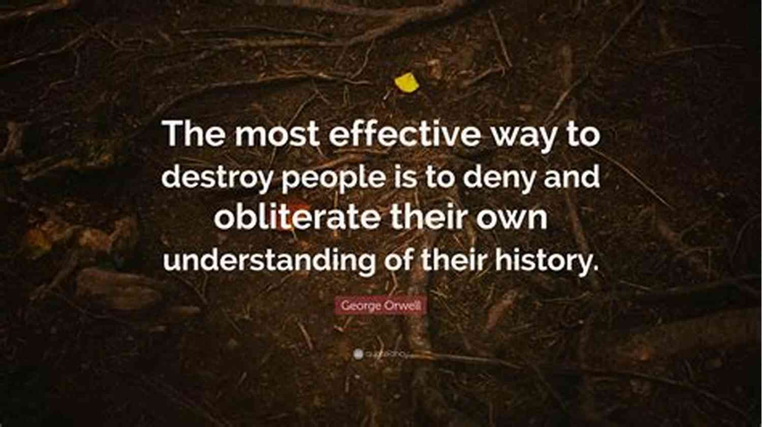 George Orwell Quotes The Most Effective Way To Destroy People 101 George Orwell Quotes Aldous Carroll