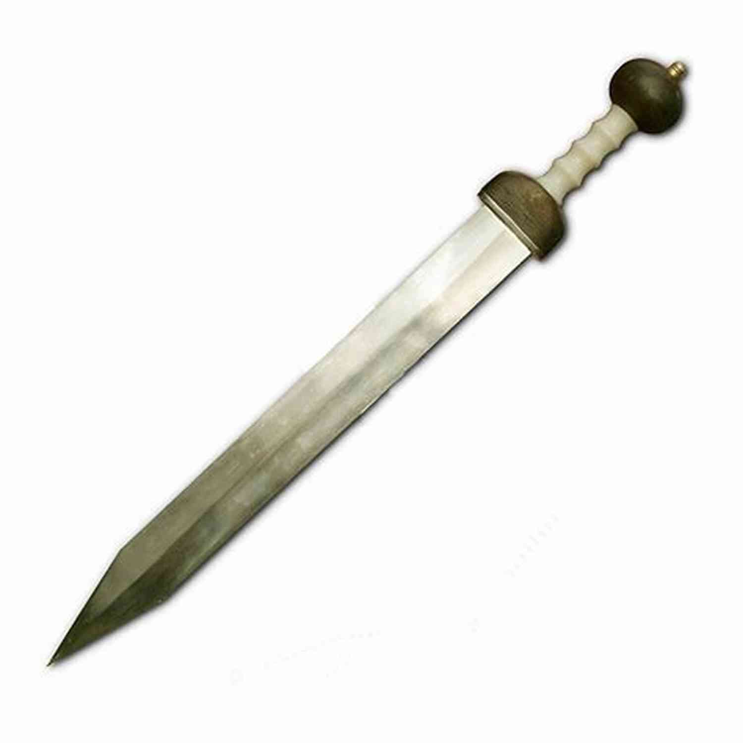 Gladius Magnus Volumes Unlocking The History Of The Ancient Roman Sword Gladius Magnus (Gladius Magnus Volumes 1)