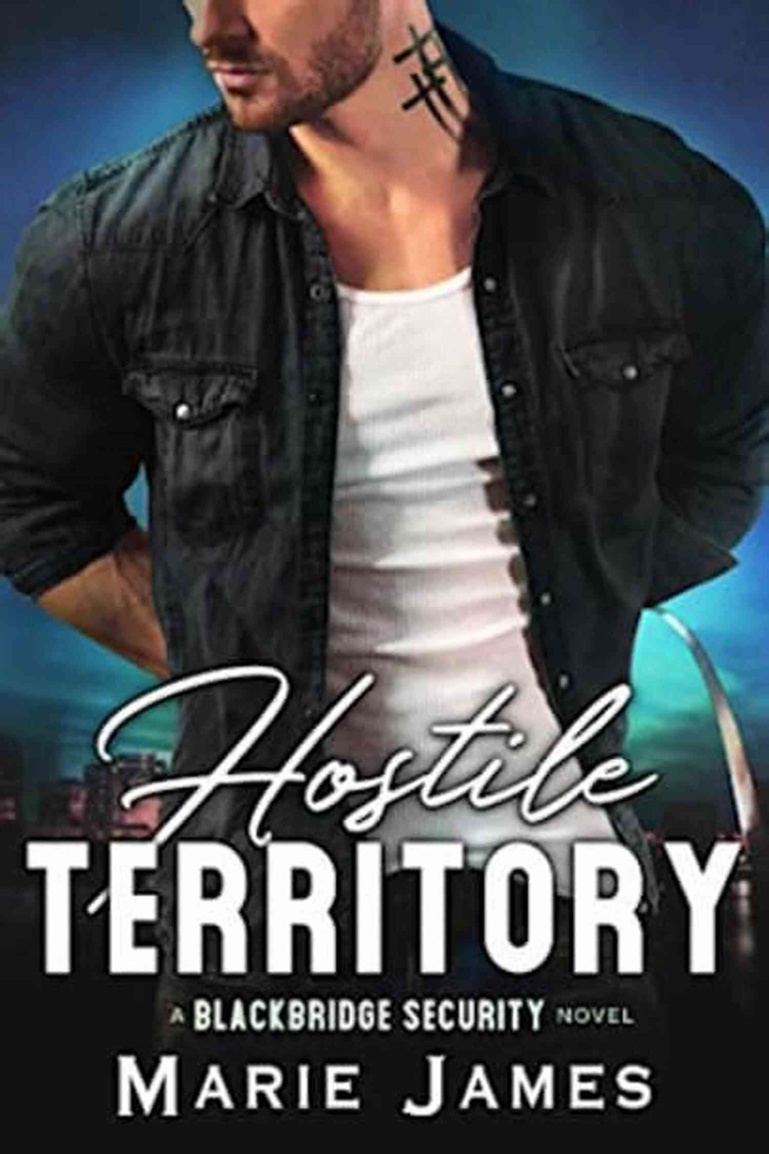 Hostile Territory Blackbridge Security: Enhancing Protection In Unfriendly Zones Hostile Territory (Blackbridge Security 1)
