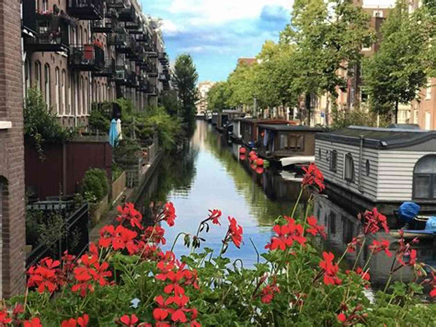Jordaan District Fun Things To Do In Amsterdam