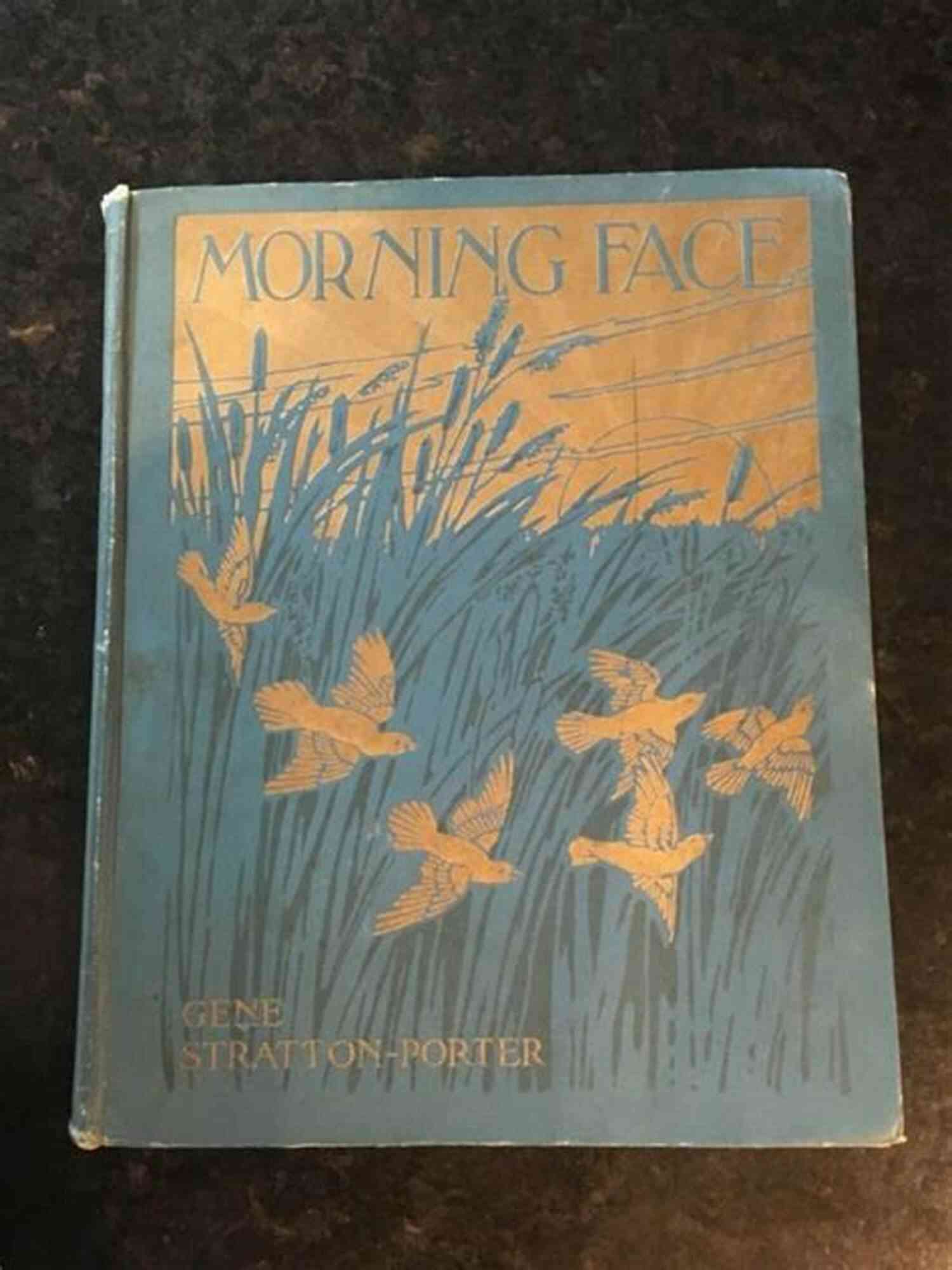 Morning Face Gene Stratton Porter A Trailblazing Writer And Naturalist Morning Face Gene Stratton Porter