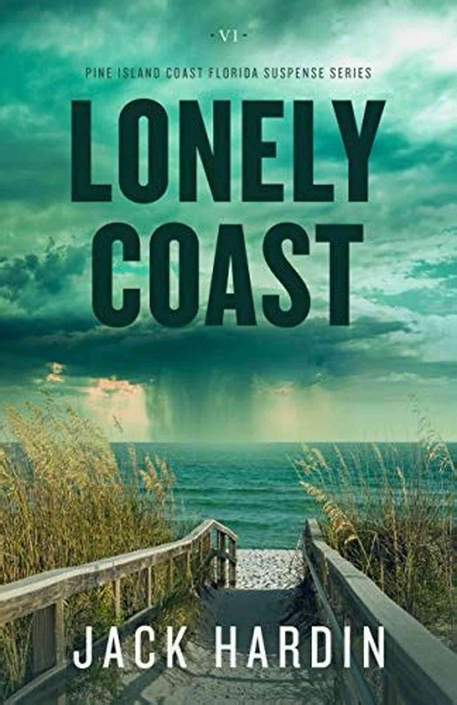 Mysterious Beauty Of The Lonely Coast Ellie Conner Lonely Coast (Ellie O Conner 6)