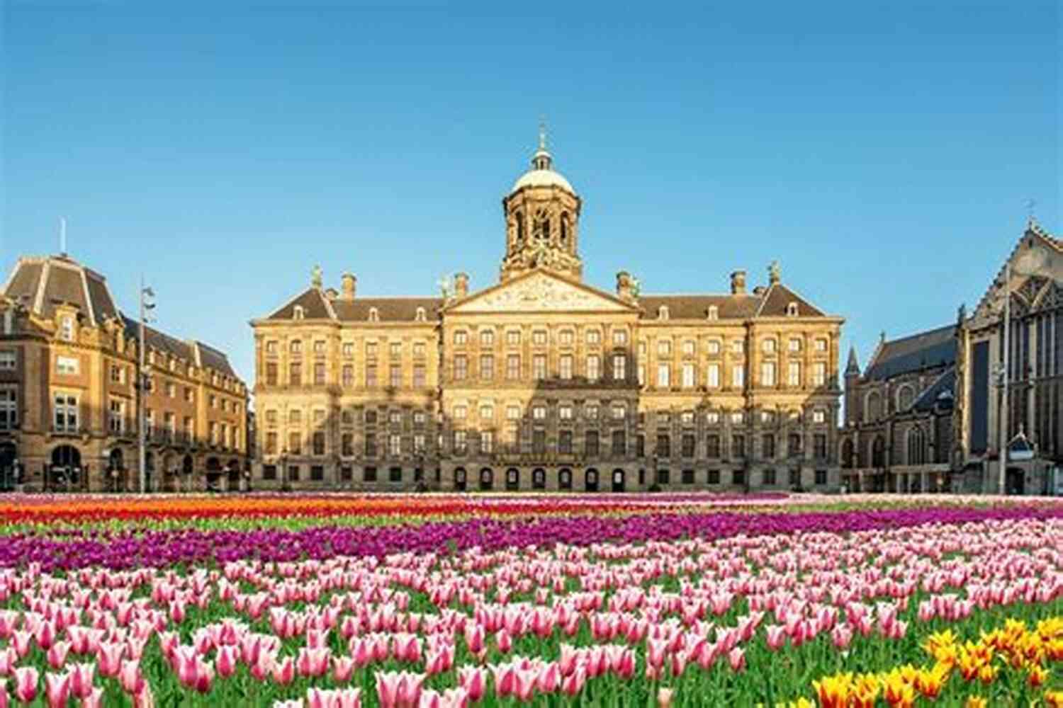 Royal Palace Fun Things To Do In Amsterdam