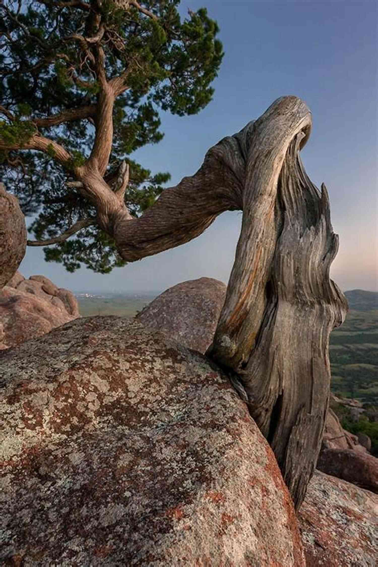 Stunning Landscapes Showcasing The Beauty Of Mother Nature By Jason Wallace Mother Nature Jason Wallace