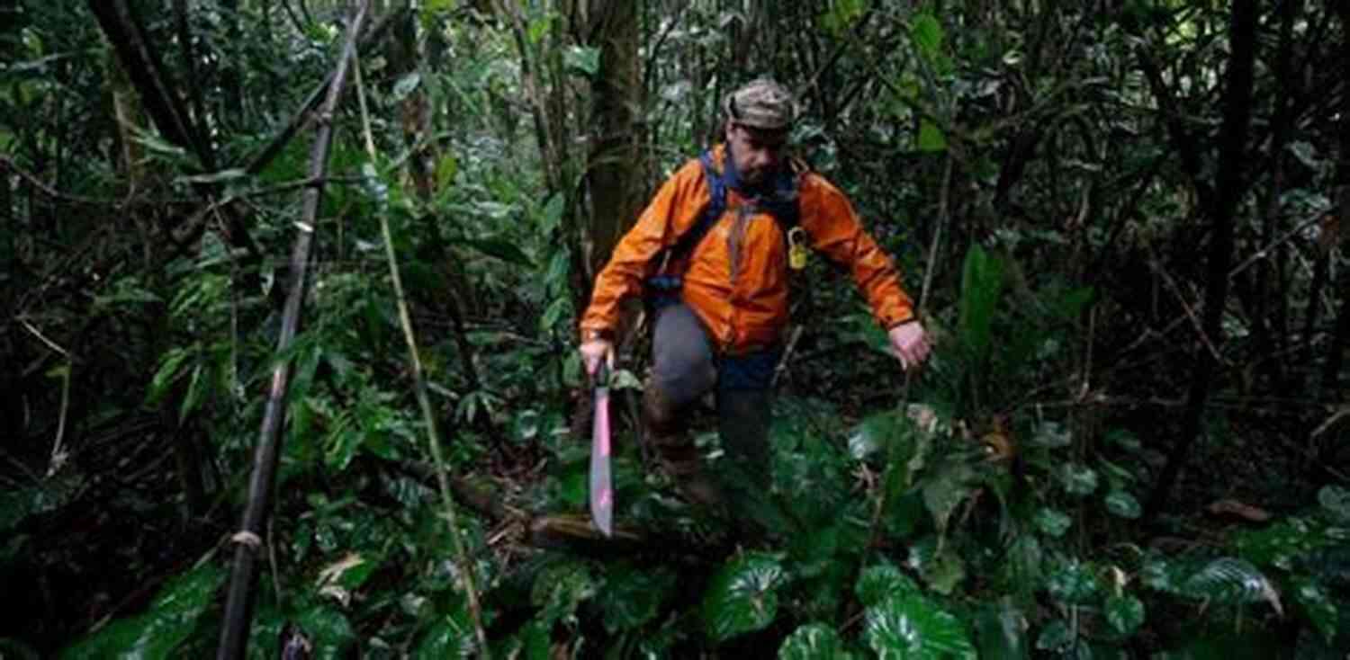 The Archaeologist Exploring A Dense Jungle Astray (The Adventures Of A Xeno Archaeologist 1)