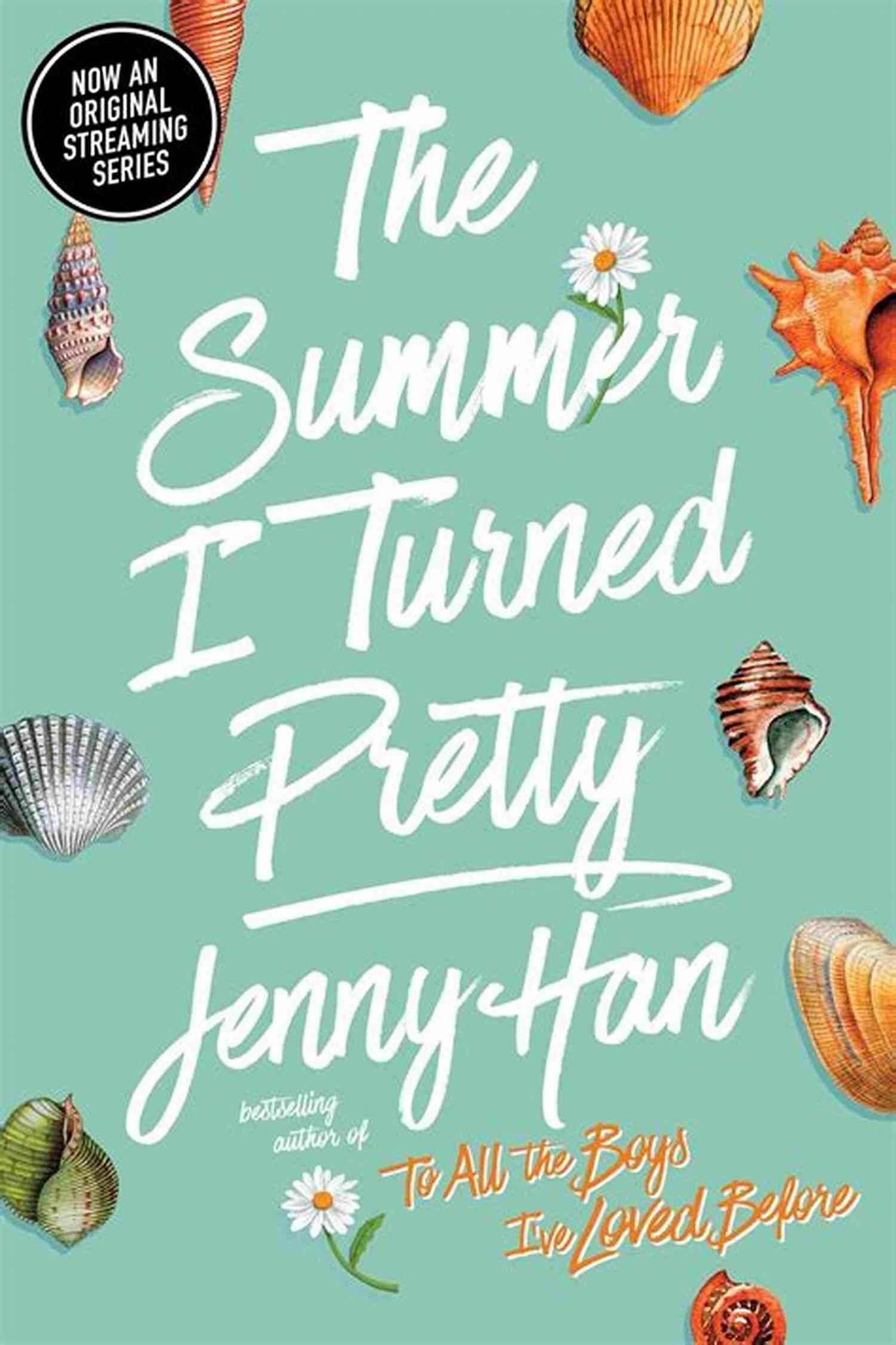 The Summer Turned Pretty Book Cover The Summer I Turned Pretty (Summer 1)