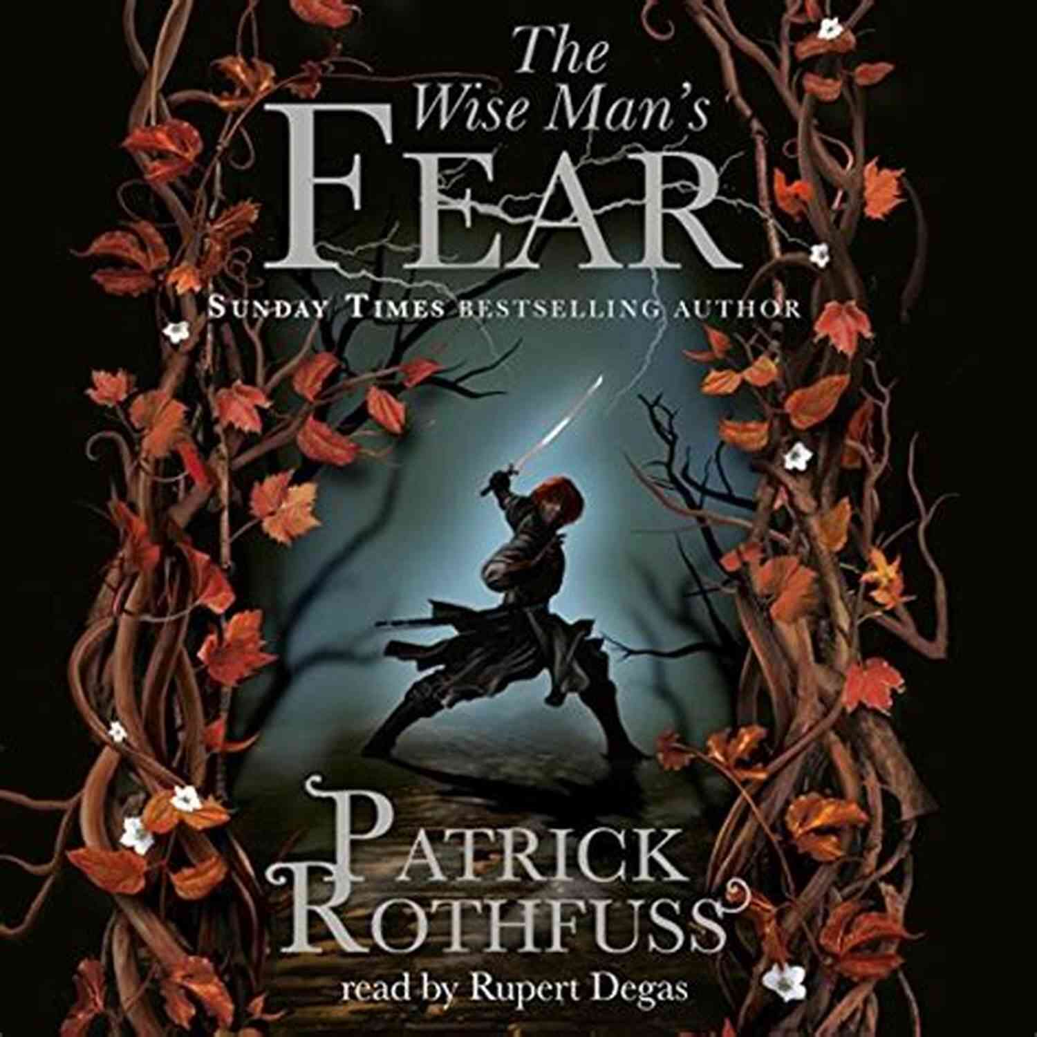 The Wise Man's Fear Book Cover The Wise Man S Fear (The Kingkiller Chronicle 2)