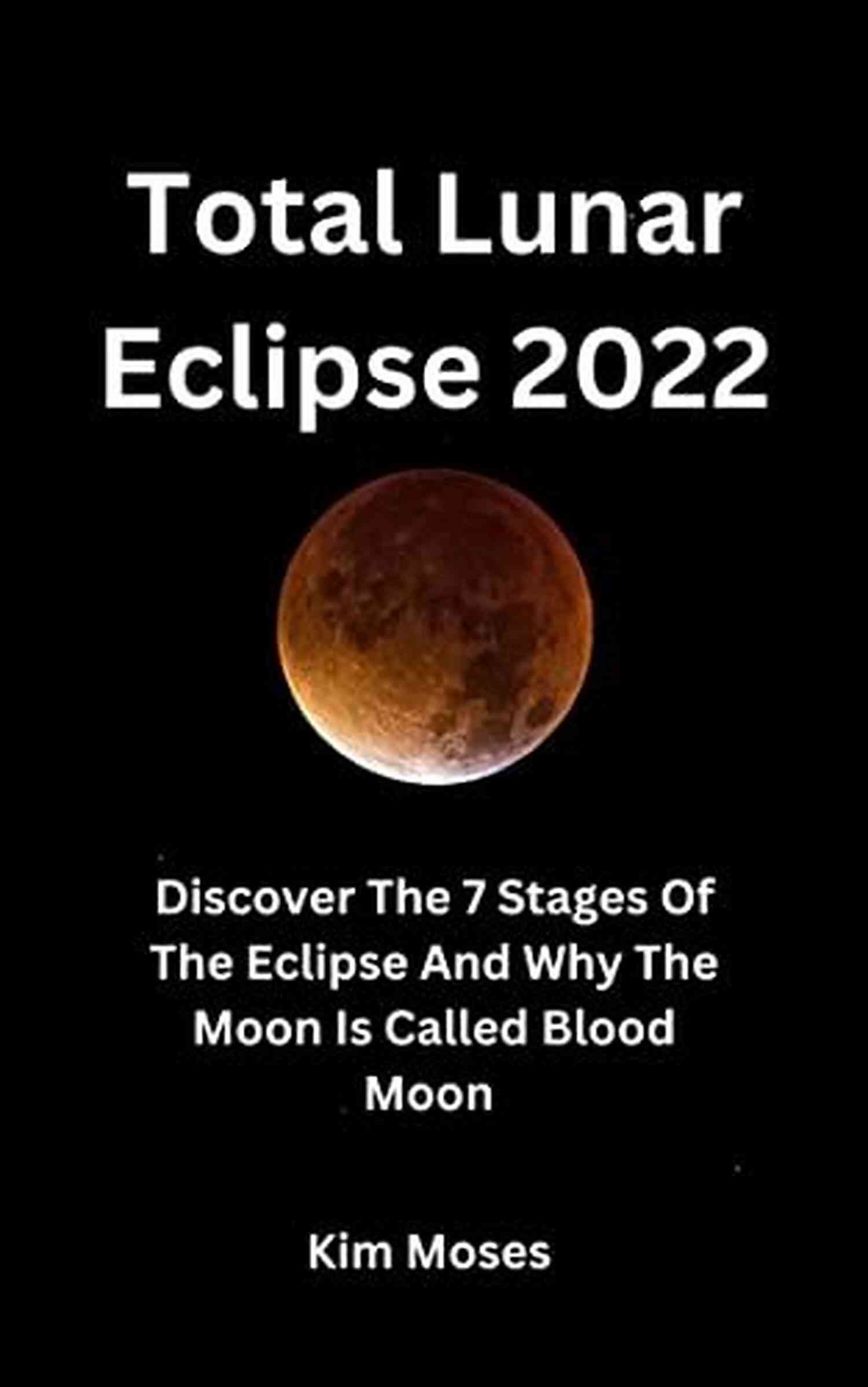 Total Eclipse Kindle Single Moments Heading For A Total Eclipse (Kindle Single) (Ploughshares Solos 38)