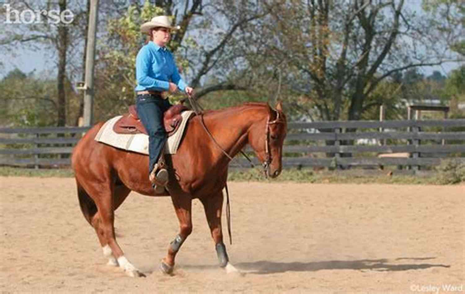 Woman Teaching Her Horse To Back Up In An Open Field Backing Up (What I D Teach Your Horse 12)